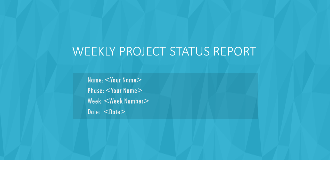 Weekly Project Status Report
